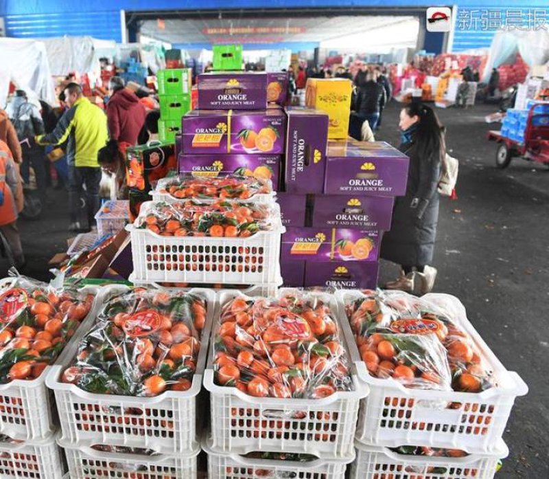 广州云侬实业：科技引领未来趋势