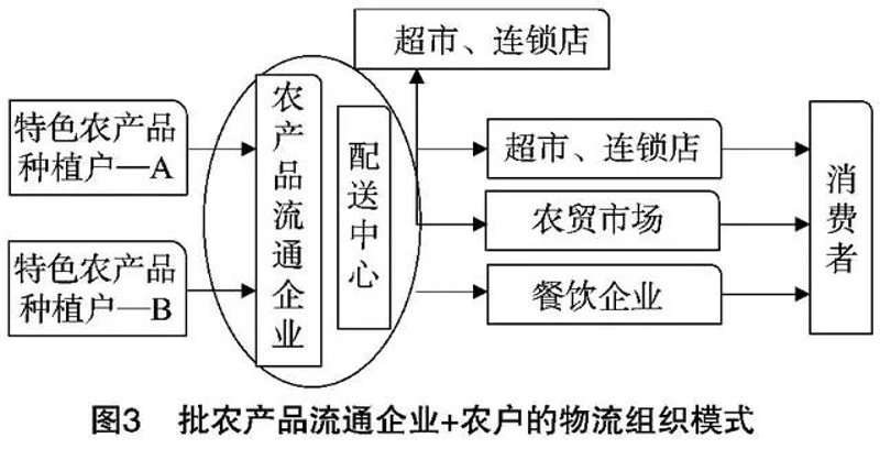 蔬菜种植：走进绿色的田野