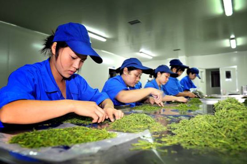 云侬实业引领广州工业风向标
