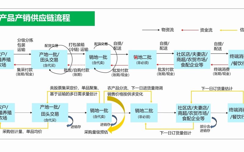 蔬菜种植业迎来发展的黄金期